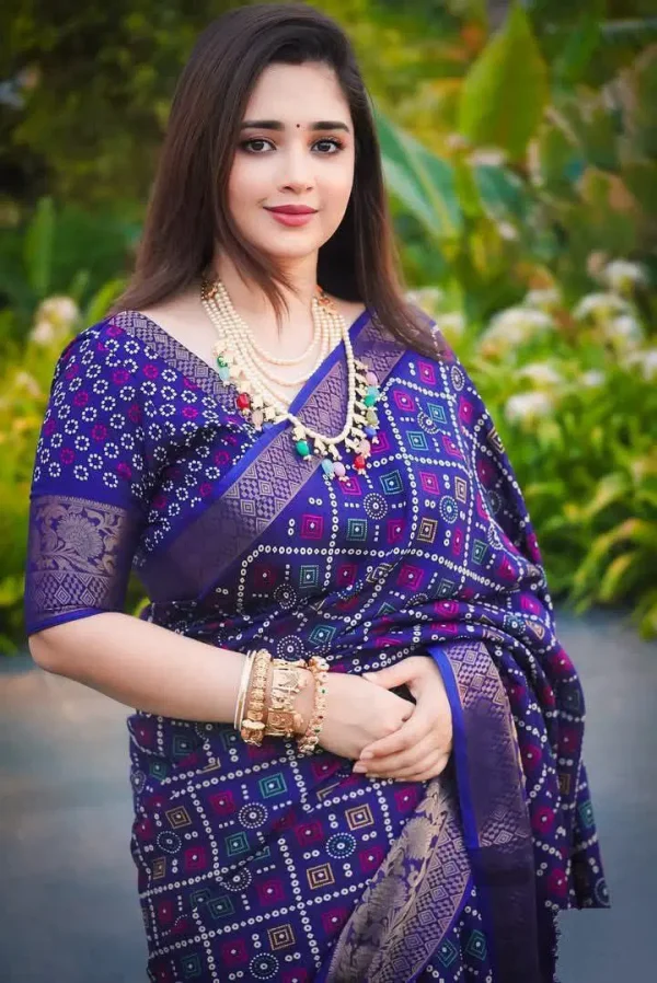 প্রিমিয়াম চুনরি প্রিন্ট ধুপিয়ান সিল্ক শাড়ি - DS-006